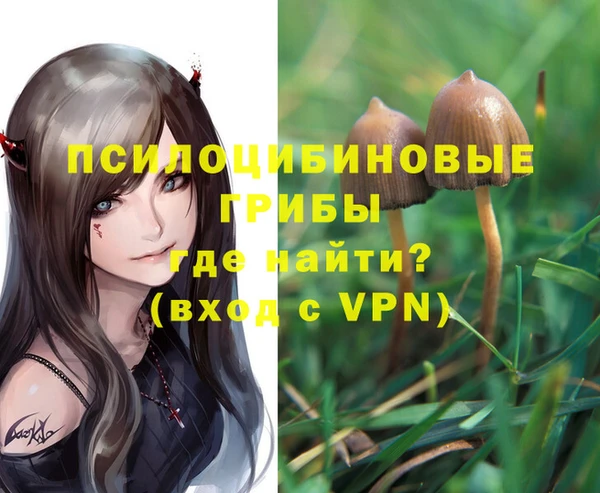 амф Алексин