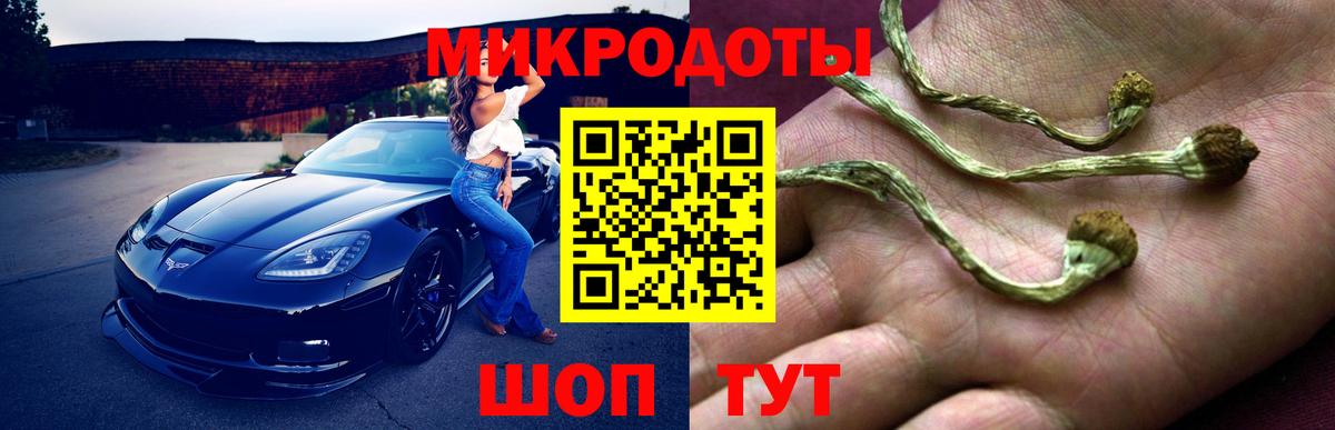 Нарьян-Мар  Псилоцибиновые грибы прущие грибы  Вход с VPN 