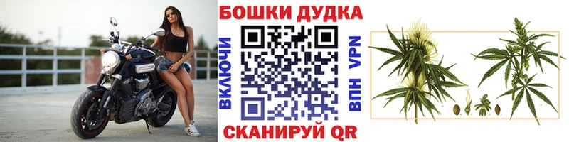 где можно купить наркотик  Нарьян-Мар  Марихуана THC 21% 